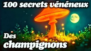 Miniature : Explorez la beauté mortelle des champignons – Apparemment inoffensifs | Science pour s’endormir