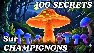 Miniature : Pourquoi les champignons pourraient être le “cerveau caché” de la Terre | Science pour Dormir