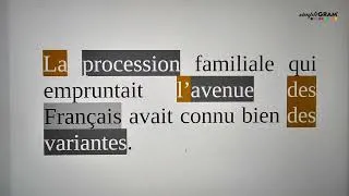 Miniature : Les classes grammaticales : déterminant,  nom, adjectif#leçon