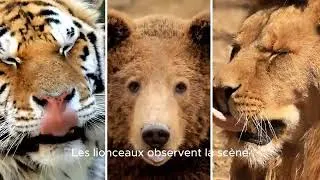 Miniature : ÉPISODE 2 – L’École de la Chasse
