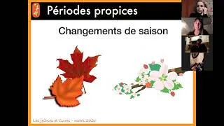 Miniature : Webinaire Jeûne & cures détox LH Nutrition & Sens