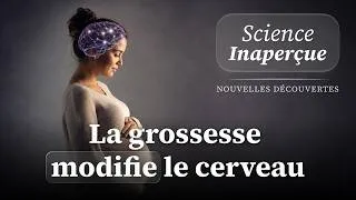 Miniature : 🧬 La grossesse modifie le cerveau de femmes ! (#5)