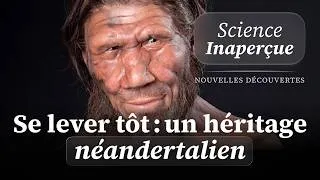Miniature : 🧬 Vous vous réveillez à l'aube ? Une étude génétique pointe vers Néandertal (#4)