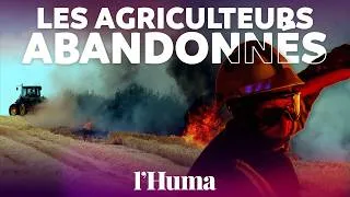 Miniature : Incendies : les agriculteurs voient leurs cultures et le travail d’une vie partir en fumée
