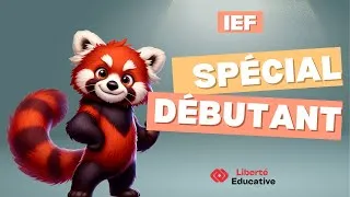 Miniature : Comment faire l'école à la maison en France aujourd'hui ? - Spécial débutant