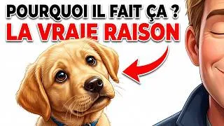 Miniature : Pourquoi votre chien penche la tête - la vraie explication