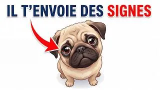 Miniature : 10 choses que votre chien fait uniquement pour vous - pour personne d'autre