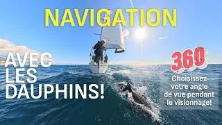 Miniature : Navigation INCROYABLE avec des Dauphins en video 360 degres! Choisissez votre angle de vue en live!
