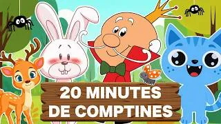 Miniature : 🐱 20 Min de Comptines Amusantes 🎵 | Chansons Éducatives Françaises pour Bébé avec Paroles
