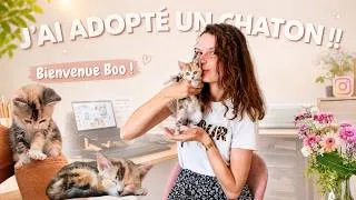 Miniature : PREMIER JOUR DE MON CHATON A LA MAISON 🐾💗 Vlog slow life