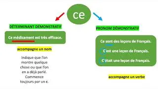 Miniature : Les homophones se/ce, ses/ces