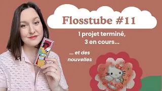 Miniature : Flosstube #11 Mai 2026 - 1 projet terminé, 3 en cours... et des nouvelles