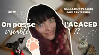 Miniature : On passe l'ACACED ensemble !