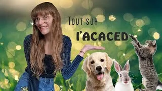 Miniature : L'ACACED facile à obtenir ?