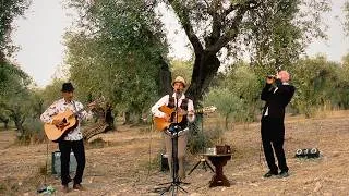 Miniature : Johnny Be Blues | Little Walter -  My Babe | Live in Olive Grove