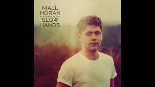 Miniature : Niall Horan - Slow Hands - Lyrics