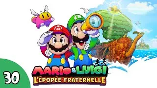 Miniature : Casse tête à Solicéa - Mario & Luigi : L'épopée fraternelle #30