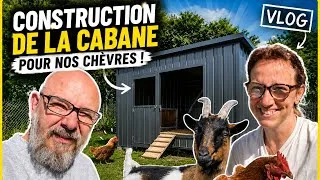 Miniature : UN NOUVEL ABRI POUR NOS CHÈVRES 🌱 VLOG 366 🌟