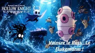 Miniature : Hollow Knight Boss : Vaincre Flukerman !
