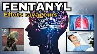 Miniature : Pourquoi le Fentanyl est incroyablement dangereux ?