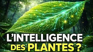 Miniature : Enigme dans les bois: l'intelligence des végétaux