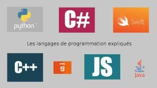 Miniature : Les langages de programmation expliqués
