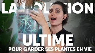 Miniature : La solution ULTIME pour garder ses plantes en vie! 🌿