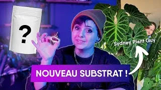 Miniature : UN NOUVEAU SUBSTRAT MAGIQUE ?? (celui de Sydney Plant Guy !) 🤫😲