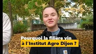 Miniature : Témoignages étudiants dominante connaissance et commerce des vins CCV