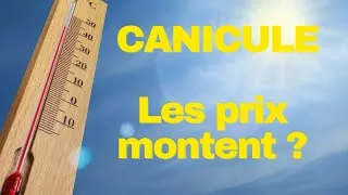 Miniature : Canicule 🥵, les prix de l’immobilier montent aussi?