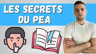 Miniature : Le secret fiscal des dividendes sur PEA que tout le monde vous cache 🤫