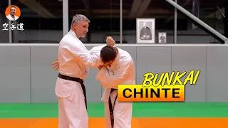 Miniature : Bunkai Chinte - Karate