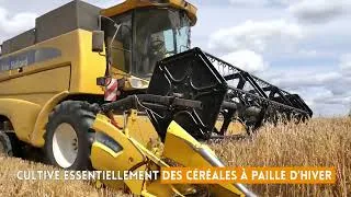 Miniature : Les moissons à la Bergerie nationale