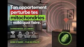 Miniature : Votre habitat perturbe vos mitochondries — voilà quoi faire : harmoniser les ondes