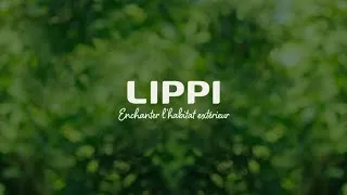 Miniature : LIPPI arbore une nouvelle identité de marque