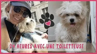 Miniature : 24 heures avec une toiletteuse (OMG😱 elle a transformer ma chienne)ft//cv4