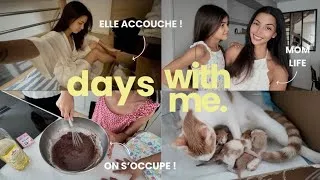 Miniature : VLOG | LES BÉBÉS SONT LÀ !! 🐈 MOM LIFE et ON S’OCCUPE ! Lisa Ngo