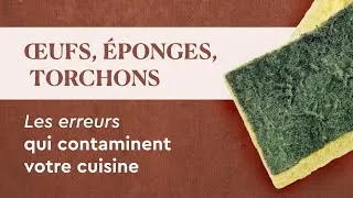 Miniature : Votre éponge est plus sale que vos toilettes (et quoi faire à la place)