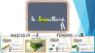 Miniature : Ecrire les sons euill et ouill