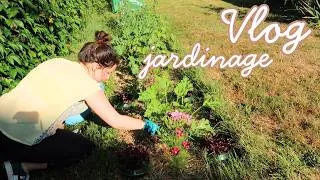 Miniature : Vlog jardinage : on s'est laissés envahir 😅