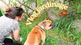 Miniature : Vlog jardinage & life update 🌿