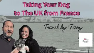 Miniature : Taking Our Dog from Lyon to London by Ferry | Complete Guide: Boarding, Onboard Tour & UK Pet Travel