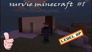 Miniature : Je construit ma maison (survie minecraft #1)