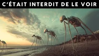Miniature : Ils ont FILMÉ ÇA dans l’océan… Ce qu’ils ont vu dépasse l’IMAGINATION