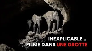 Miniature : Ce QU’ILS ONT FILMÉ dans les TUNNELS… PERSONNE ne peut l’expliquer !