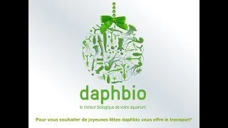 Miniature : Kit ANTI CYANOBACTÉRIES daphbio - promotion noel 2017