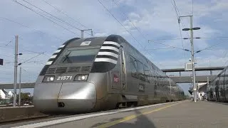 Miniature : TER et TGV en gare d'Auray