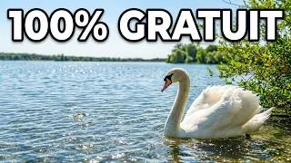 Miniature : 👉 Cette balade en famille est 100% GRATUITE !