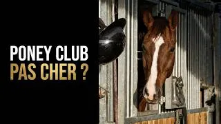 Miniature : Ce poney club est 2x MOINS CHER que dans le 92 !