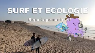Miniature : Surf et écologie - Reportage sur le vif